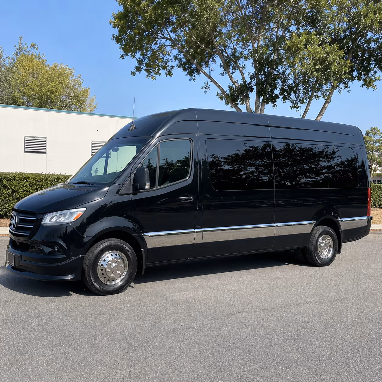 corona get the whole group to the dance with corona prom transportation